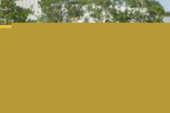 American Legion Retif OIL V. Gauthier & Amedee, June 29, 2020