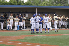 Baseball District, Jesuit (8) vs. Holy Cross (3), John Ryan Stadium, April 13, 2019