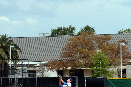 baseball13_rummel2_033013_03