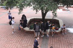 Book Day 2013 - Seniors Juniors and Sophomores