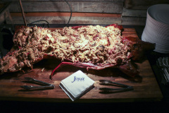 Class of 1994, Stag Reunion, March 30, 2019