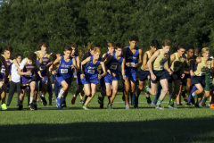 Cross Country, Regional Championship, Nov. 2, 2018