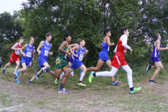 Cross Country, Regional Championship, Nov. 8, 2019