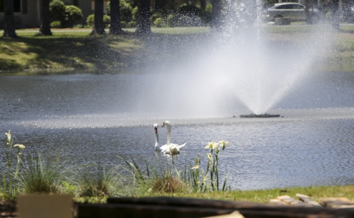 JMR_0551