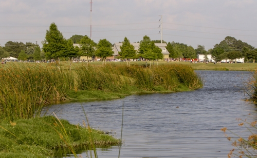 Golf-State-Wetlands_20190430_930