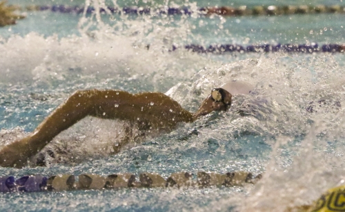 Swimming_20191025_Metro-Meet_063