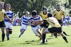 Rugby 2016-17: JHS (34) vs. Bro. Martin (5), April 8, 2017