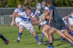 Rugby vs. Woodlands, Jan. 27, 2019