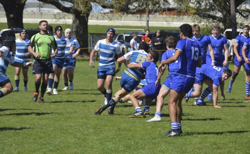 DSC_0455-X3