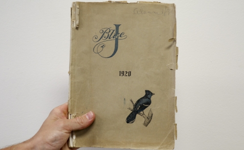 BBDL1381