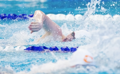 Swimming 2016_State Meet_11192016_14