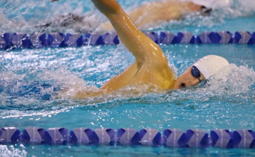 Swimming 2016_Metro Meet_UNO_10292016_09