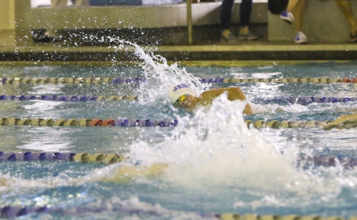 Swimming_20191015_District-Meet_077
