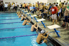 Swimming, Metro Championships, Nov. 2, 2013