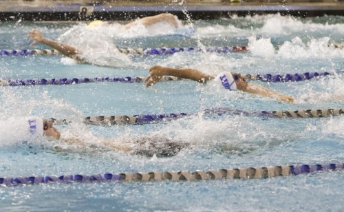 Swimming_20181027_Metro-Meet_078