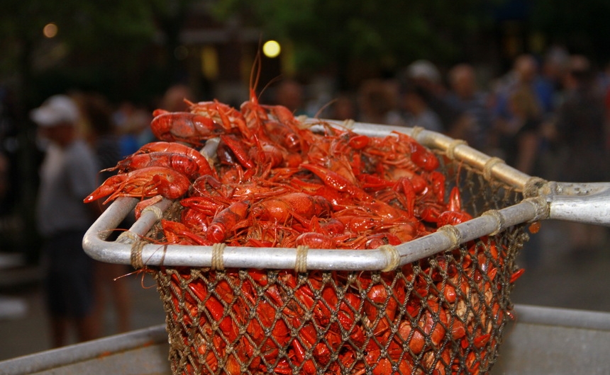 volunteer-workers-crawfish-party_04242015_05