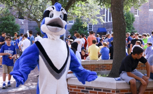 Admissions_WelcomeDayNewBlueJays_20160514_088