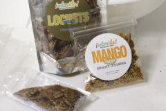 Welcome Week, Bug-Eating, Tuesday, Aug. 28, 2018