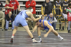 Wrestling State Championships, CenturyLink Center, Bossier City, Feb. 8-9, 2019