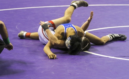 Wrestling-State_20200214_08