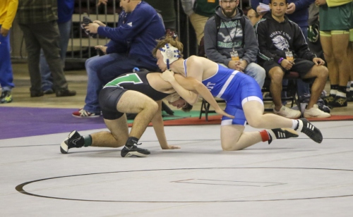Wrestling-State_20200214_23