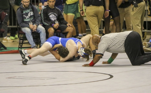 Wrestling-State_20200214_24