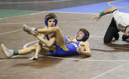 Wrestling-State_20200214_38
