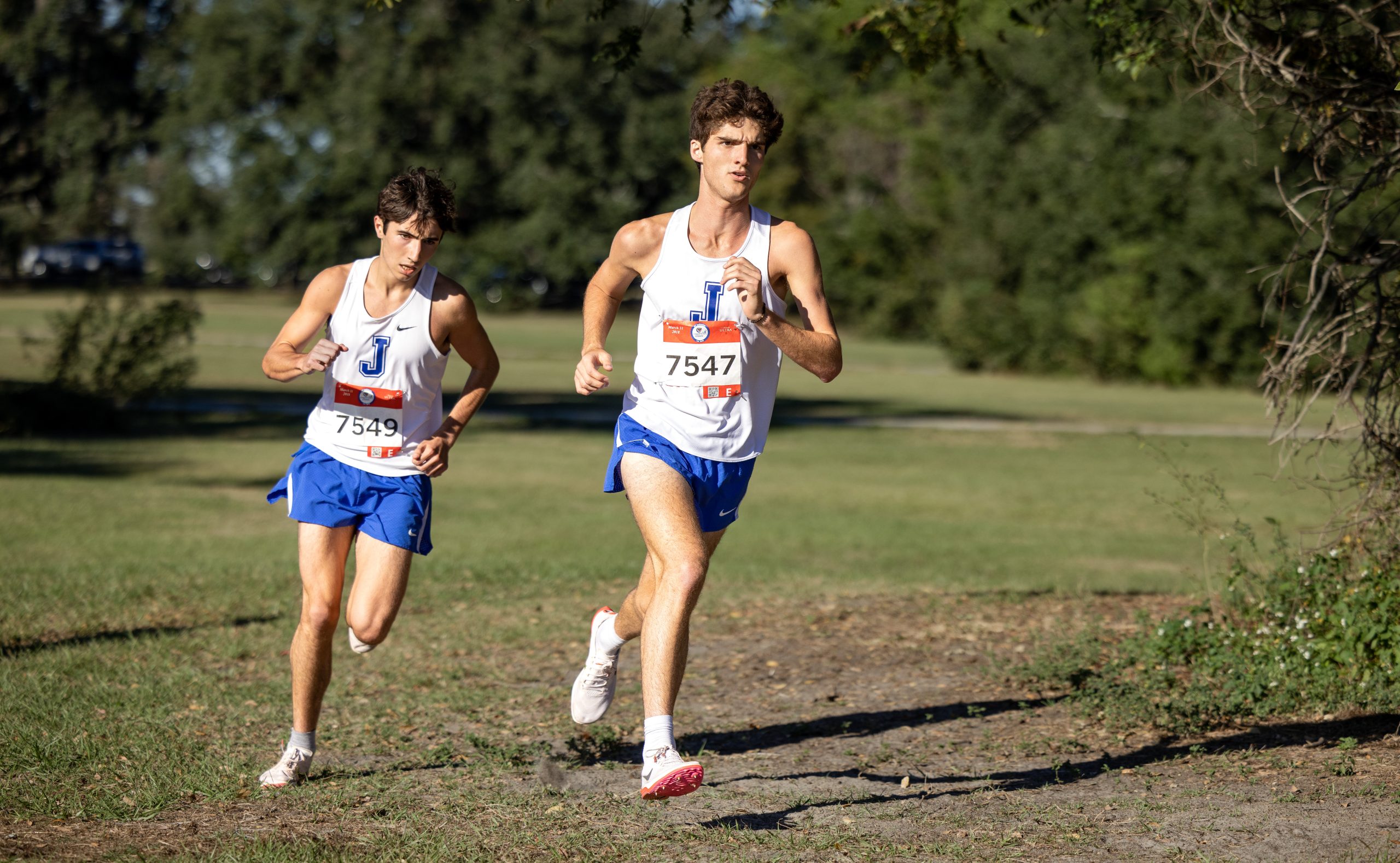 Cross Country Sweeps Top 5 and Claims State Title for Consecutive Year