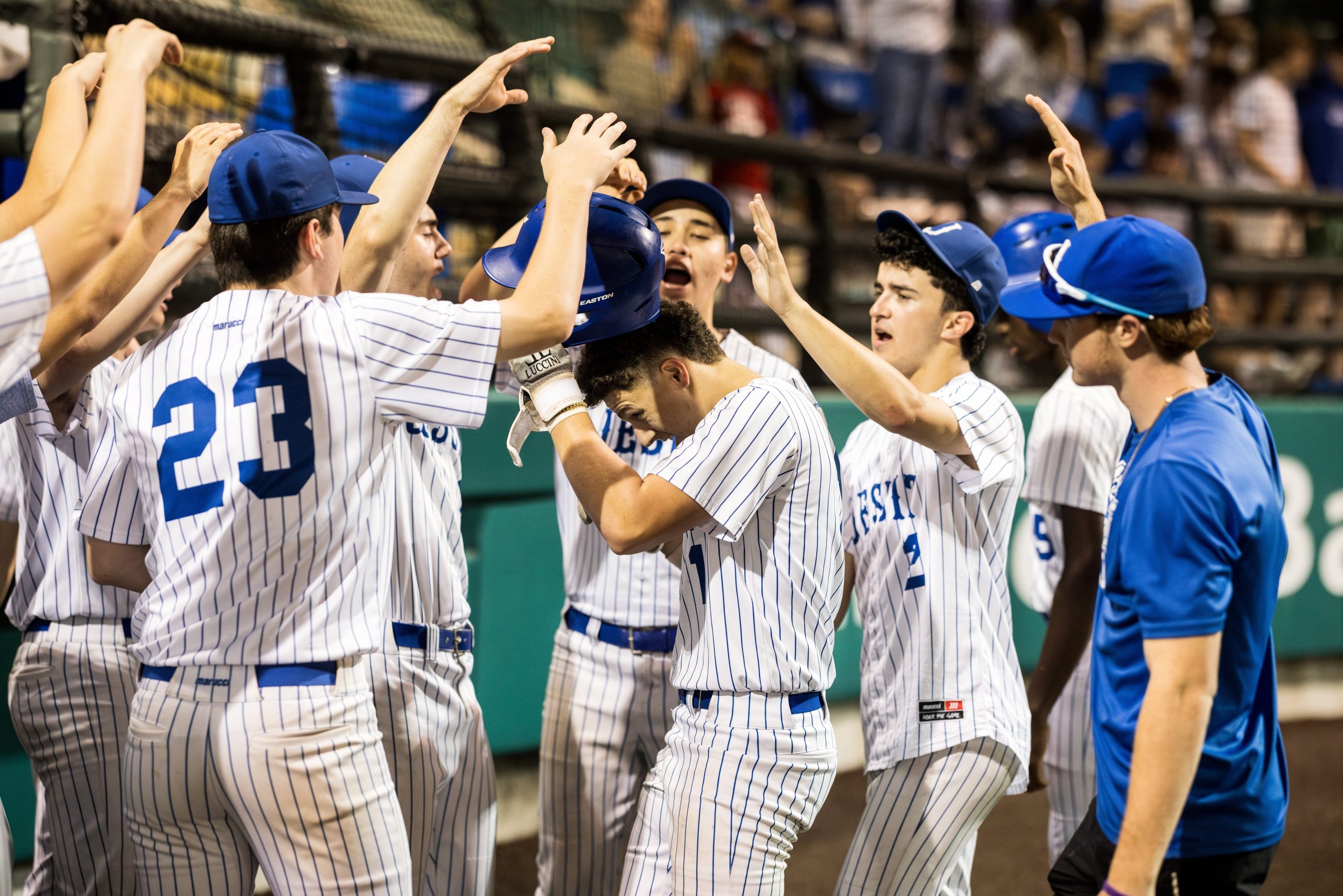 Young Jays Hit Early Season Stride on the Baseball Diamond